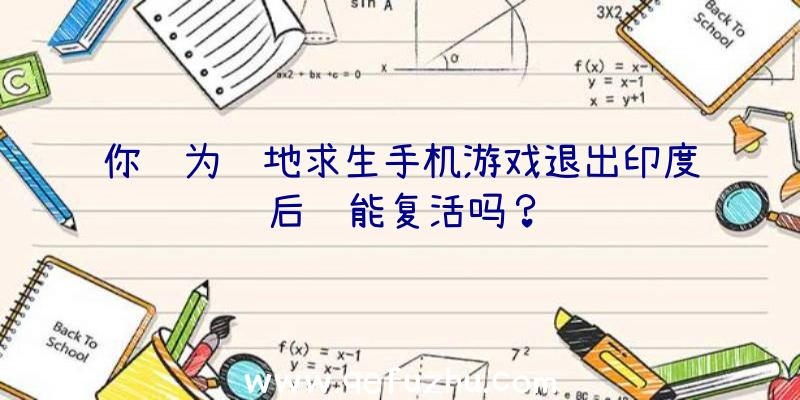 你认为绝地求生手机游戏退出印度后还能复活吗？