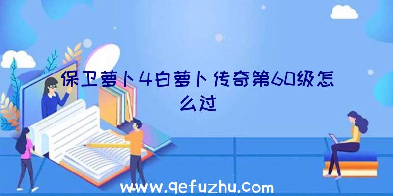 保卫萝卜4白萝卜传奇第60级怎么过