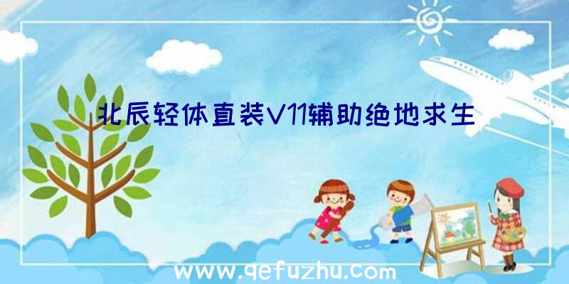 北辰轻体直装V11辅助绝地求生