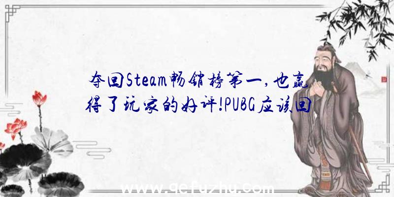 夺回Steam畅销榜第一,也赢得了玩家的好评!PUBG应该回