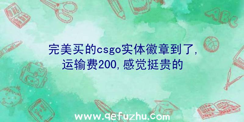 完美买的csgo实体徽章到了,运输费200,感觉挺贵的