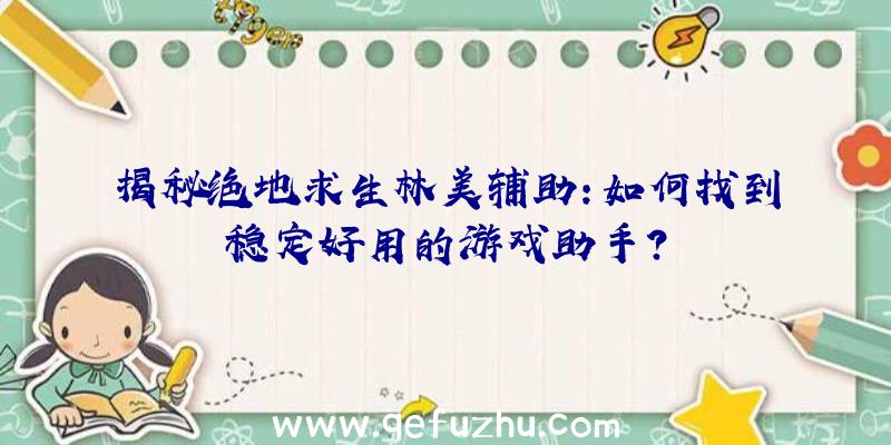 揭秘绝地求生林美辅助：如何找到稳定好用的游戏助手？