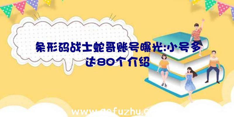 条形码战士蛇哥账号曝光:小号多达80个介绍