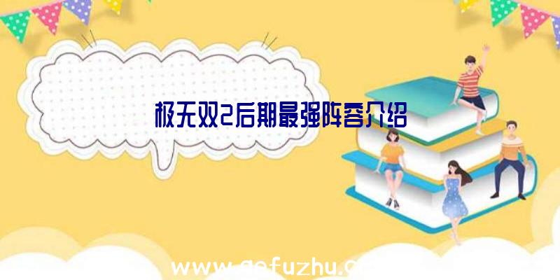 极无双2后期最强阵容介绍