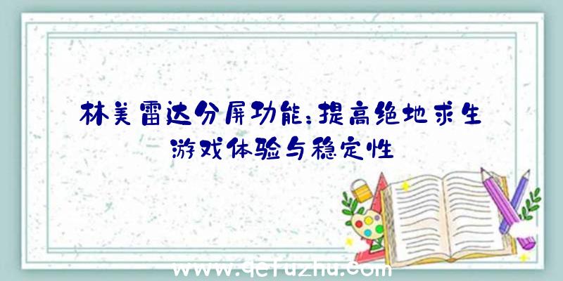 林美雷达分屏功能：提高绝地求生游戏体验与稳定性