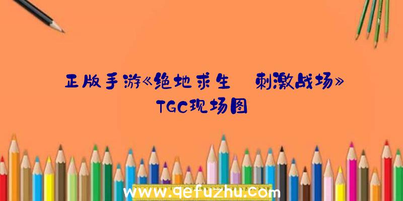 正版手游《绝地求生:刺激战场》TGC现场图