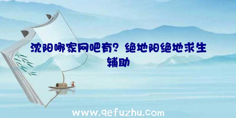 沈阳哪家网吧有？绝地阳绝地求生辅助