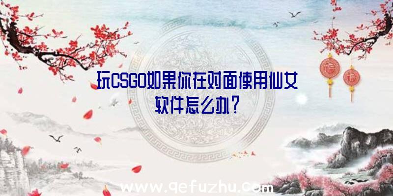 玩CSGO如果你在对面使用仙女软件怎么办？