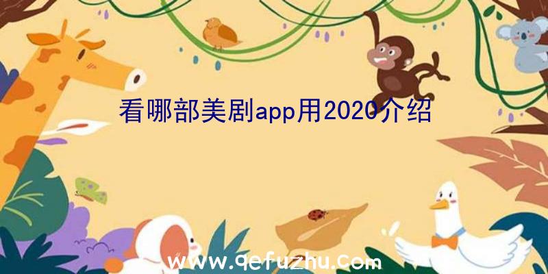 看哪部美剧app用2020介绍