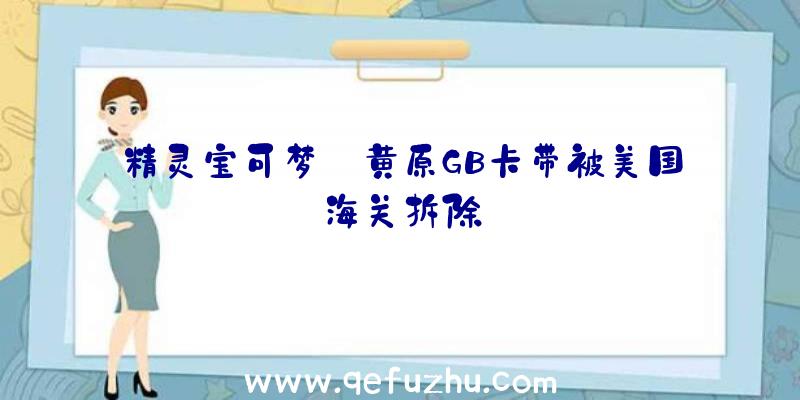 精灵宝可梦:黄原GB卡带被美国海关拆除