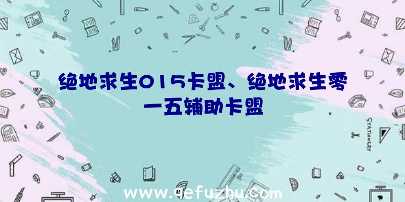 绝地求生015卡盟、绝地求生零一五辅助卡盟