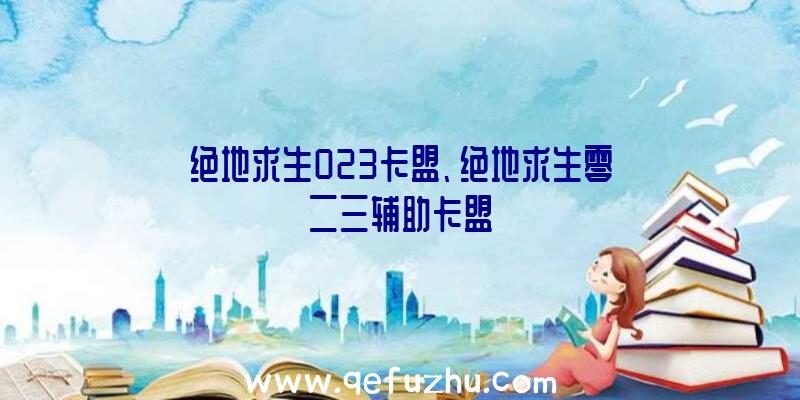 绝地求生023卡盟、绝地求生零二三辅助卡盟