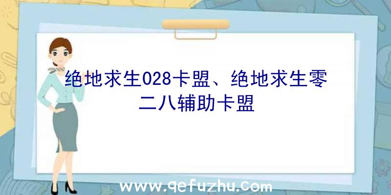 绝地求生028卡盟、绝地求生零二八辅助卡盟