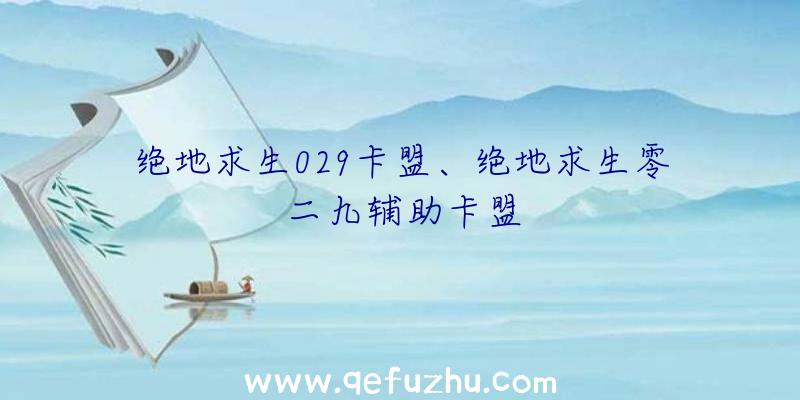 绝地求生029卡盟、绝地求生零二九辅助卡盟