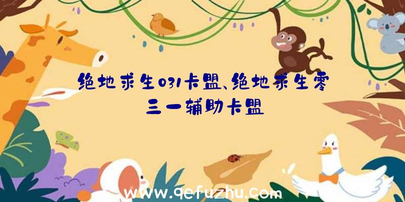 绝地求生031卡盟、绝地求生零三一辅助卡盟