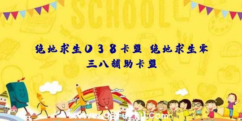 绝地求生038卡盟、绝地求生零三八辅助卡盟