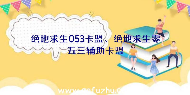 绝地求生053卡盟、绝地求生零五三辅助卡盟