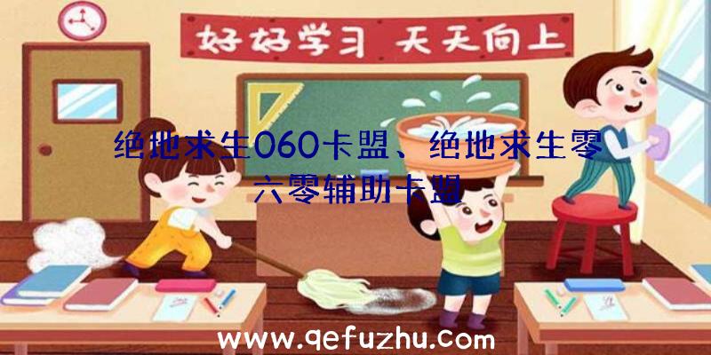 绝地求生060卡盟、绝地求生零六零辅助卡盟