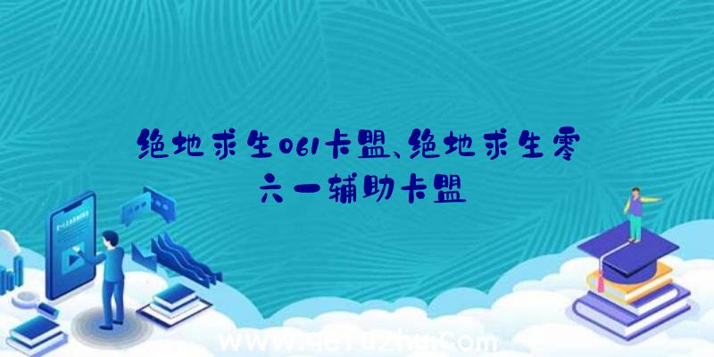 绝地求生061卡盟、绝地求生零六一辅助卡盟