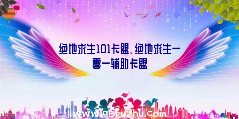 绝地求生101卡盟、绝地求生一零一辅助卡盟