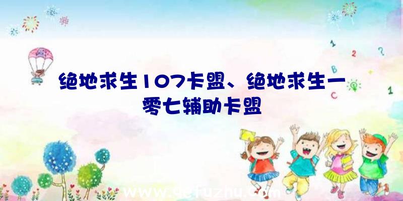 绝地求生107卡盟、绝地求生一零七辅助卡盟