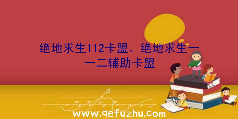 绝地求生112卡盟、绝地求生一一二辅助卡盟