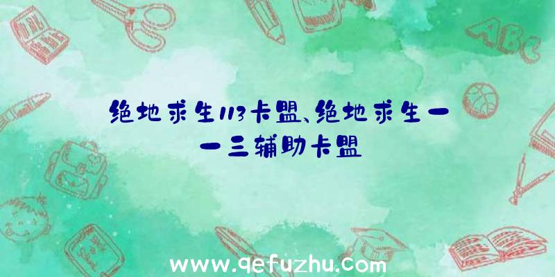 绝地求生113卡盟、绝地求生一一三辅助卡盟