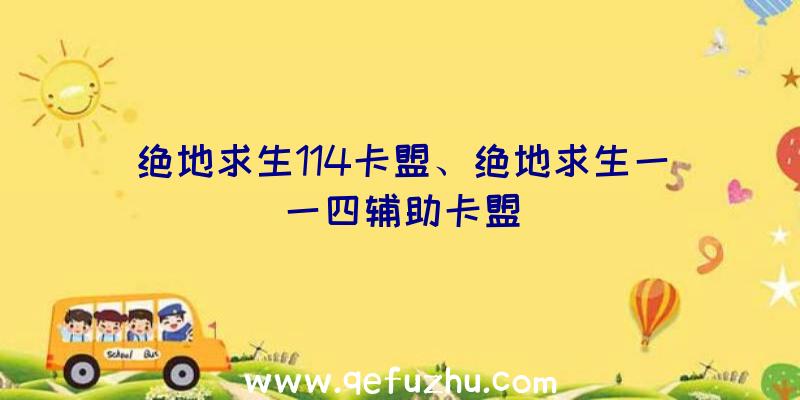 绝地求生114卡盟、绝地求生一一四辅助卡盟