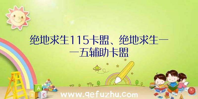 绝地求生115卡盟、绝地求生一一五辅助卡盟