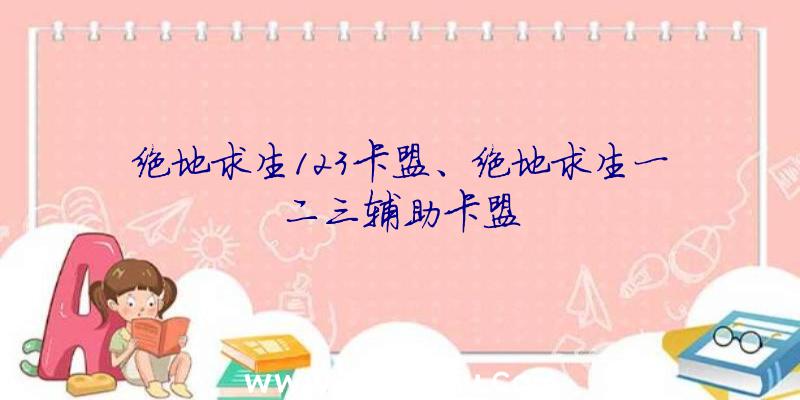 绝地求生123卡盟、绝地求生一二三辅助卡盟