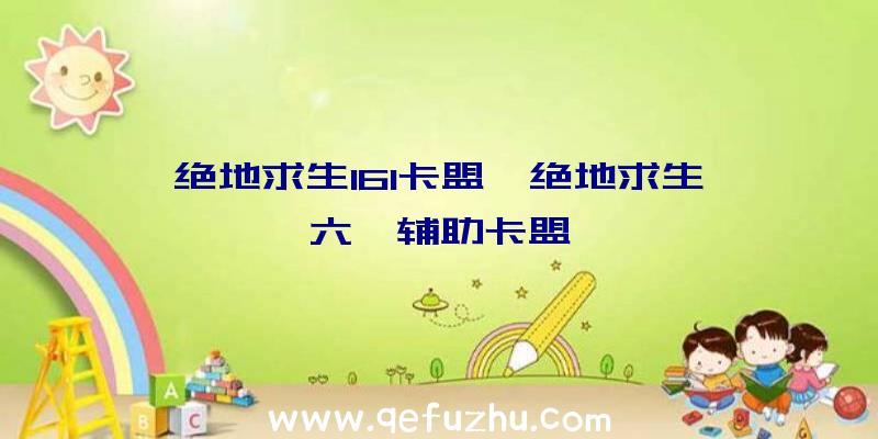 绝地求生161卡盟、绝地求生一六一辅助卡盟