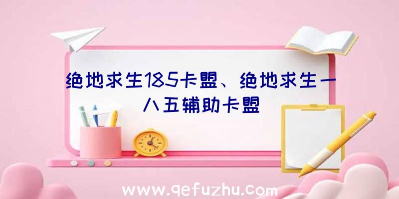 绝地求生185卡盟、绝地求生一八五辅助卡盟