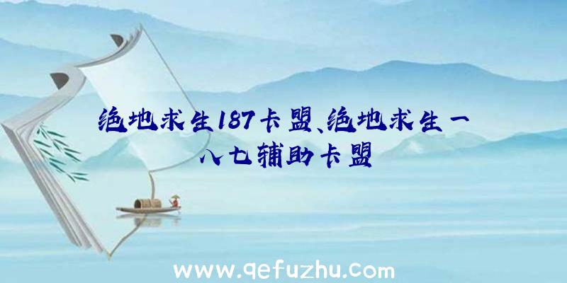 绝地求生187卡盟、绝地求生一八七辅助卡盟