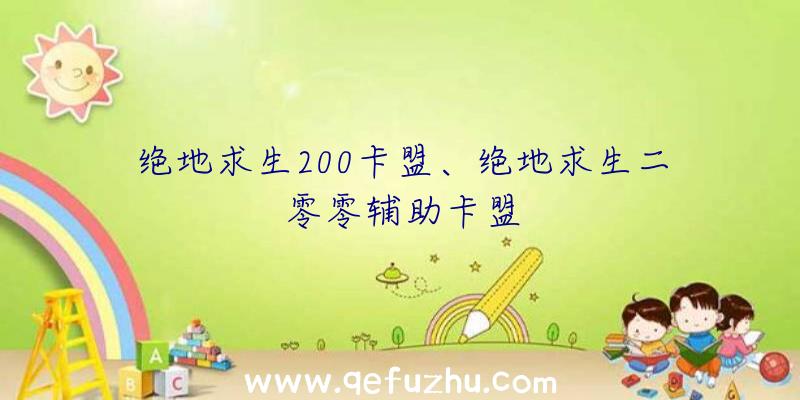 绝地求生200卡盟、绝地求生二零零辅助卡盟