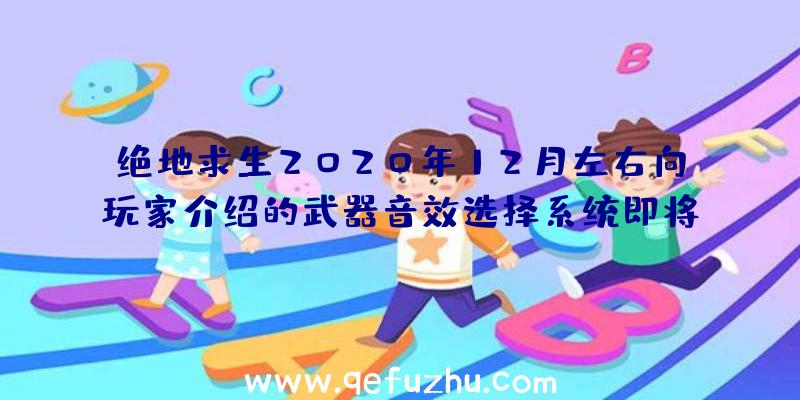 绝地求生2020年12月左右向玩家介绍的武器音效选择系统即将