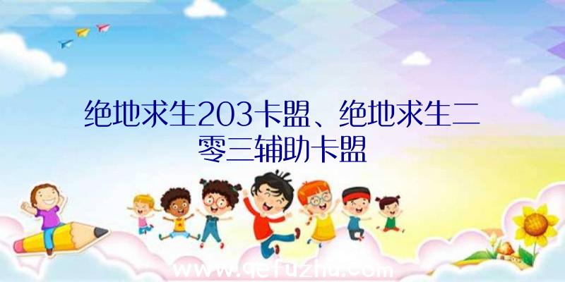 绝地求生203卡盟、绝地求生二零三辅助卡盟