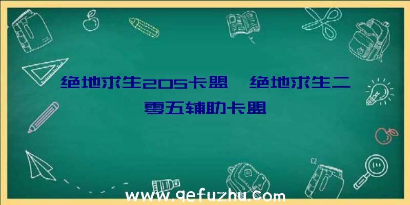 绝地求生205卡盟、绝地求生二零五辅助卡盟