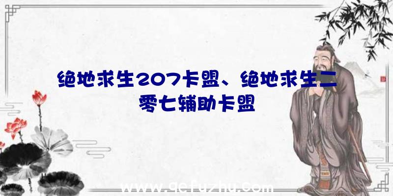 绝地求生207卡盟、绝地求生二零七辅助卡盟