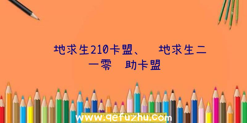 绝地求生210卡盟、绝地求生二一零辅助卡盟