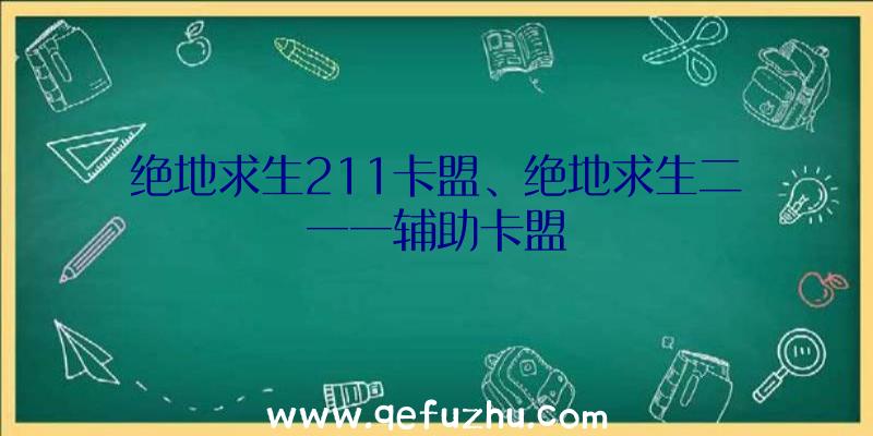 绝地求生211卡盟、绝地求生二一一辅助卡盟