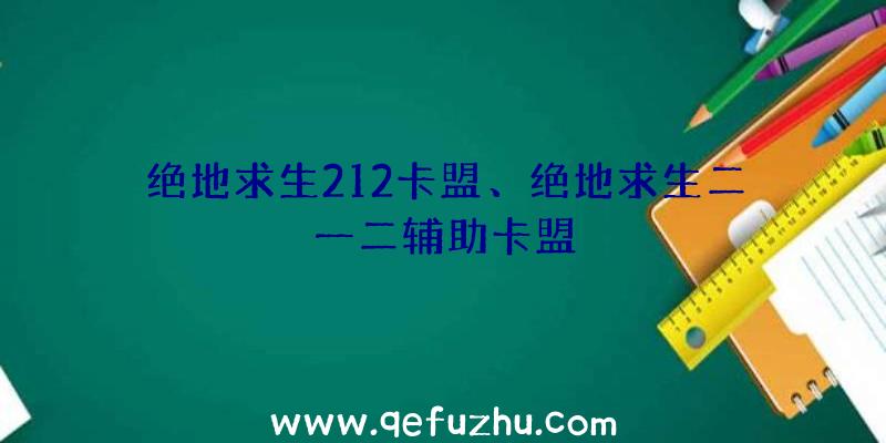 绝地求生212卡盟、绝地求生二一二辅助卡盟