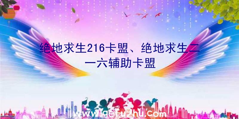 绝地求生216卡盟、绝地求生二一六辅助卡盟