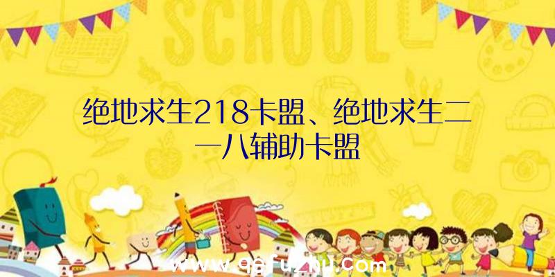 绝地求生218卡盟、绝地求生二一八辅助卡盟