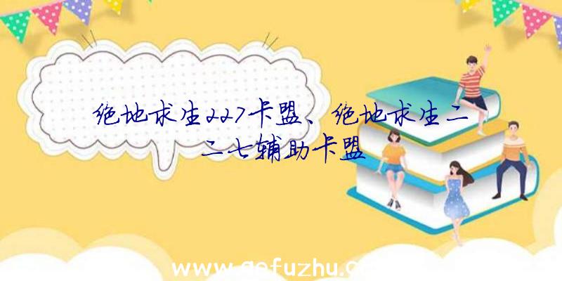 绝地求生227卡盟、绝地求生二二七辅助卡盟