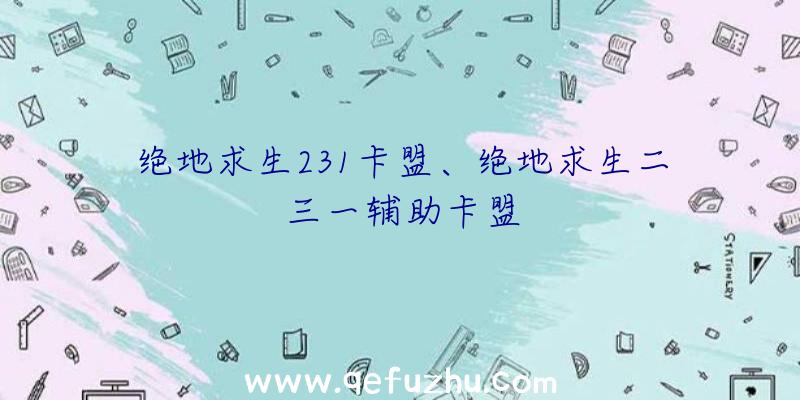 绝地求生231卡盟、绝地求生二三一辅助卡盟