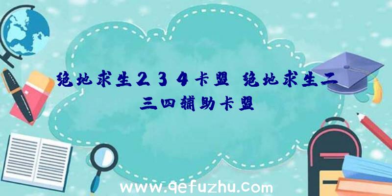 绝地求生234卡盟、绝地求生二三四辅助卡盟