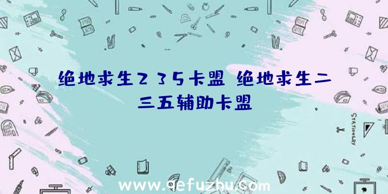 绝地求生235卡盟、绝地求生二三五辅助卡盟