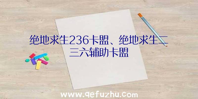 绝地求生236卡盟、绝地求生二三六辅助卡盟