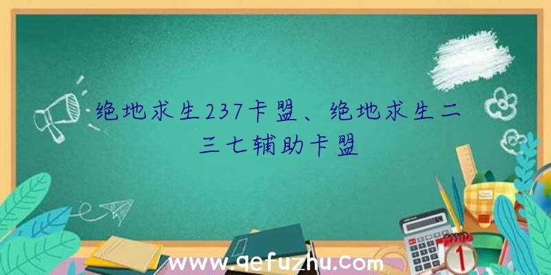 绝地求生237卡盟、绝地求生二三七辅助卡盟