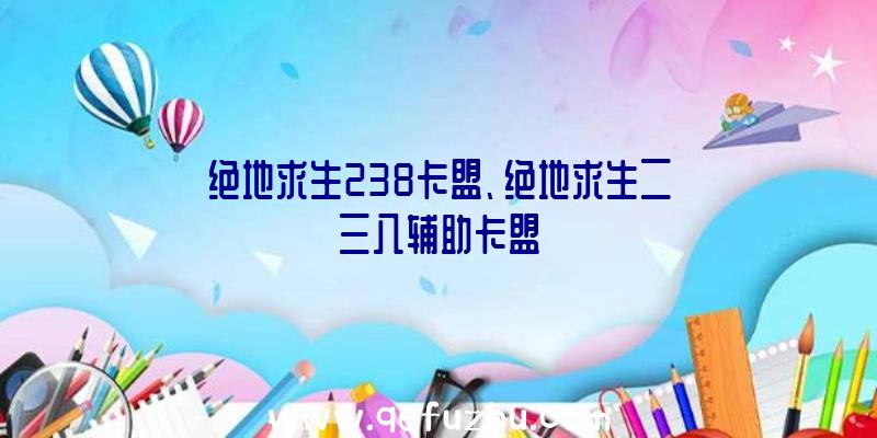 绝地求生238卡盟、绝地求生二三八辅助卡盟